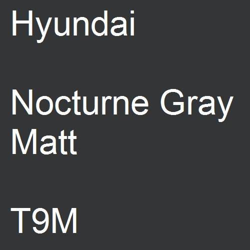 Hyundai, Nocturne Gray Matt, T9M.